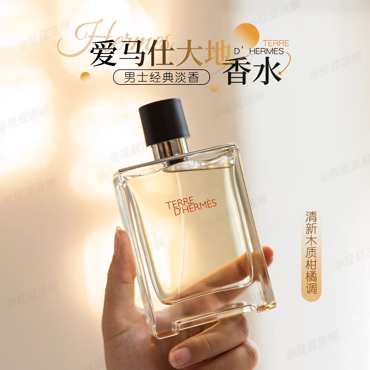 Men's perfume(Anchor development)