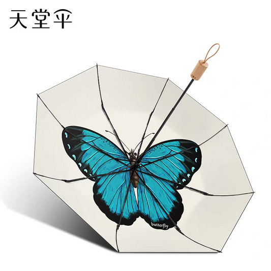 umbrella(Anchor development)